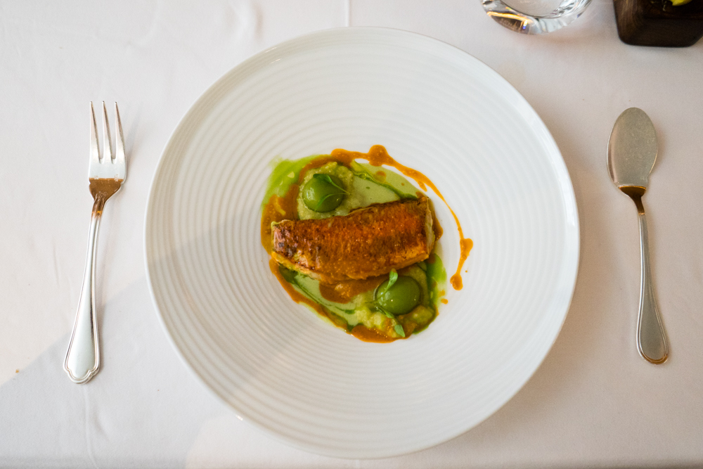 Red mullet