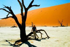 900 year old acacia trees in Deadvlei