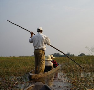 Our boatman using the Hippos Pathways to ease the way