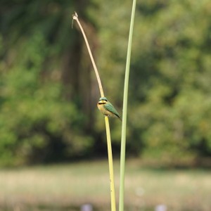 DSC04141a