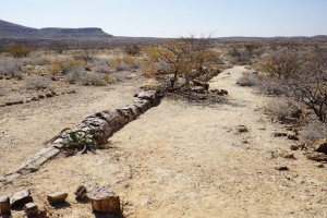 Can your fossilised dreams unlock a genuine path to your future?