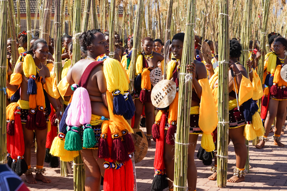 Reed Dance